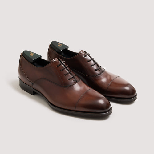 Andronikos Men's Oxford Whiskey
