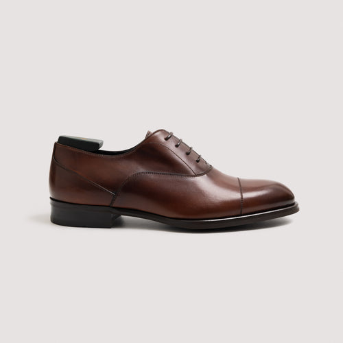 Andronikos Men's Oxford Whiskey