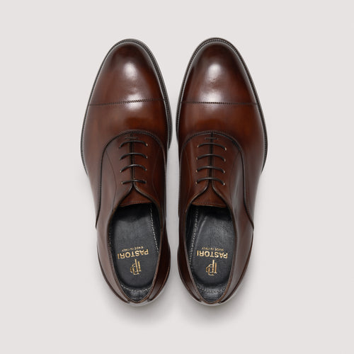 Andronikos Men's Oxford Whiskey