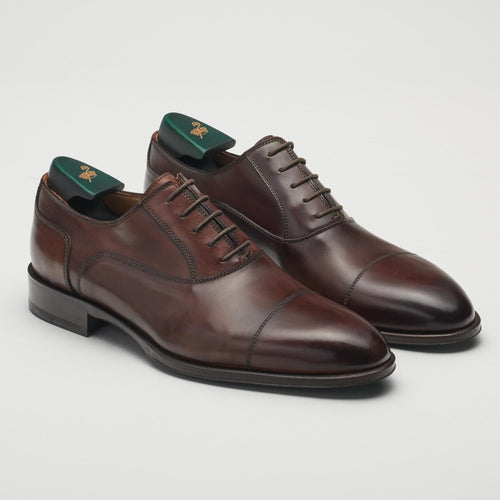 Avitus Men's Oxford Whiskey