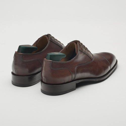 Avitus Men's Oxford Whiskey
