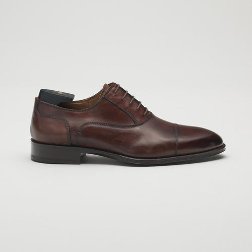 Avitus Men's Oxford Whiskey