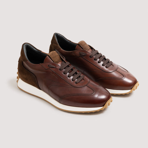 Heraclius Men's Italian Sneaker Cadmio/Chestnut